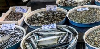 Napoli, Scampia: pescheria abusiva scoperta dai Carabinieri. Denunciato il titolare e chiusa l’attività