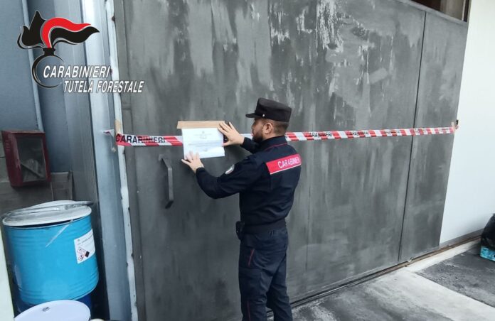 Scarichi abusivi nel fiume Sarno: denunciato imprenditore di Solofra Scarichi abusivi nel fiume Sarno: denunciato imprenditore di Solofra