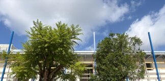 San Vitaliano, tragedia sul lavoro: 68enne muore dopo una caduta di sette metri