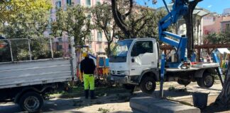 Castellammare di Stabia: oltre 900 mq di nuovi spazi verdi e più di 50 alberi per la rinascita della Villa Comunale
