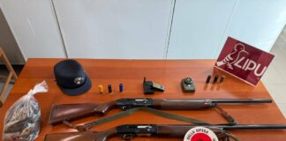 Controlli venatori a Giugliano: sequestri e sanzioni per attività illecita
