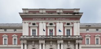 Cardarelli, boom di accessi per violenza di genere: 183 casi nei primi mesi del 2025