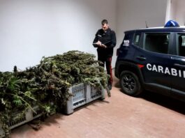 Sant’Anastasia: sorpresi mentre confezionano droga, due arresti. Sequestrati 109 chili di marijuana e un fucile
