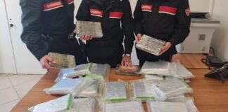 Tufino: con 23 chili di cocaina tenta la fuga nel traffico, arrestata una 40enne polacca
