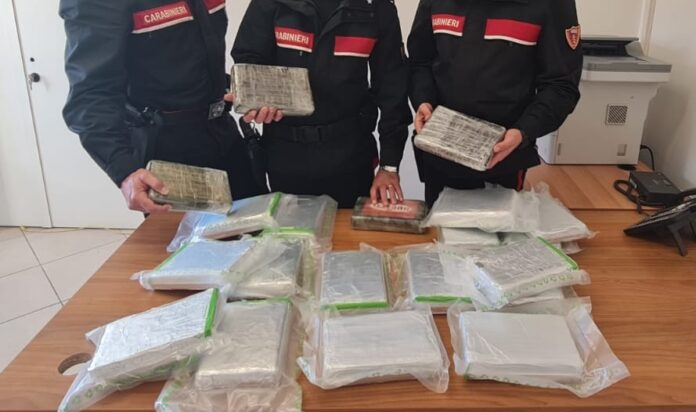 Tufino: con 23 chili di cocaina tenta la fuga nel traffico, arrestata una 40enne polacca Tufino: con 23 chili di cocaina tenta la fuga nel traffico, arrestata una 40enne polacca
