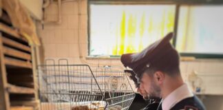 Napoli, Soccavo: panifici “illuminati” abusivamente