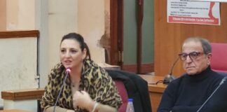 Sant'Anastasia, al Leonardo da Vinci si parlerà di bullismo e cyberbullismo