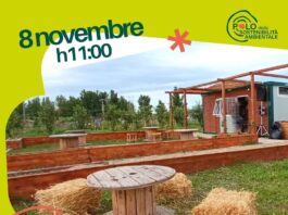 Ritorna “Sorsi di Vino”: sostenibilità, territorio e storie di rinascita