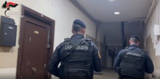 Camorra 2.0 nel Nolano: estorsioni mascherate da consulenze tecniche e un’alleanza tra clan per il controllo del territorio