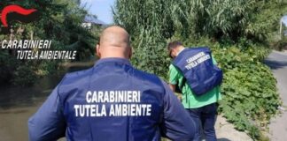 Sequestrato il mattatoio “IN.C.E.B. Sud” di Sant’Antonio Abate: reflui industriali sversati nel Sarno senza depurazione