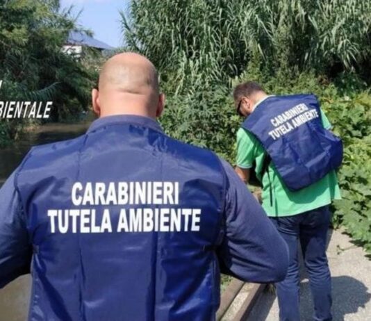 Sequestrato il mattatoio “IN.C.E.B. Sud” di Sant’Antonio Abate: reflui industriali sversati nel Sarno senza depurazione