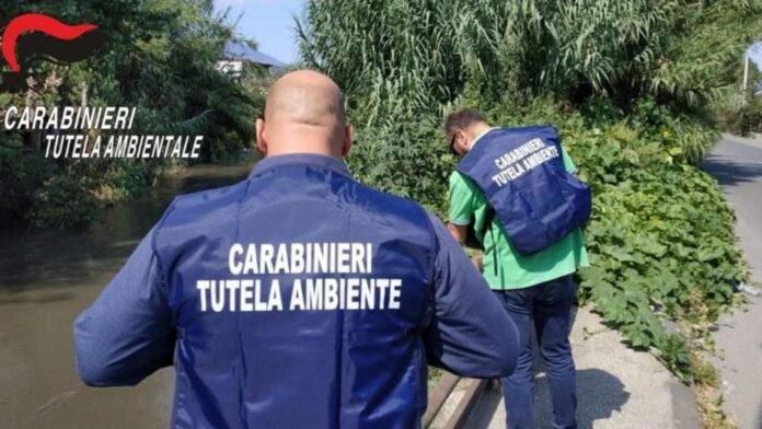 Sequestrato il mattatoio “IN.C.E.B. Sud” di Sant’Antonio Abate: reflui industriali sversati nel Sarno senza depurazione