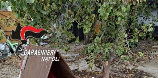 Napoli, controlli al campo rom di Poggioreale: sequestri per migliaia di euro e due cani salvati