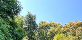 Pimonte punta al recupero dell’ex tiro a volo per il turismo