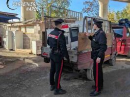 Napoli, controlli nei campi rom: trovati 400 kg di rame rubato alla R.F.I. e due pitbull maltrattati