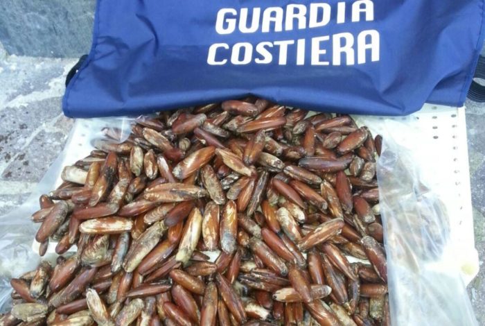 Chieste condanne fino a 10 anni per la banda dei datterari: devastato per oltre 6 km il litorale della Penisola Sorrentina