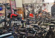 Ischia, scoperto deposito di veicoli rubati: tre persone denunciate Ischia, scoperto deposito di veicoli rubati: tre persone denunciate