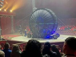 Sant’Anastasia, tragedia al circo: morto uno stuntman, spettacoli annullati