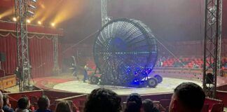 Sant’Anastasia, tragedia al circo: morto uno stuntman, spettacoli annullati
