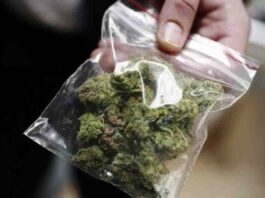 San Giorgio a Cremano, evade dai domiciliari con 94 grammi di marijuana: 24enne arrestato da un maresciallo fuori servizio