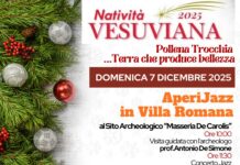 Natale a Pollena Trocchia: al via gli eventi organizzati dal Comune
