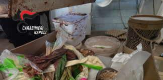 Caivano, controlli in un bar pasticceria: arrestato il titolare per furto di energia elettrica e gravi violazioni igienico-sanitarie