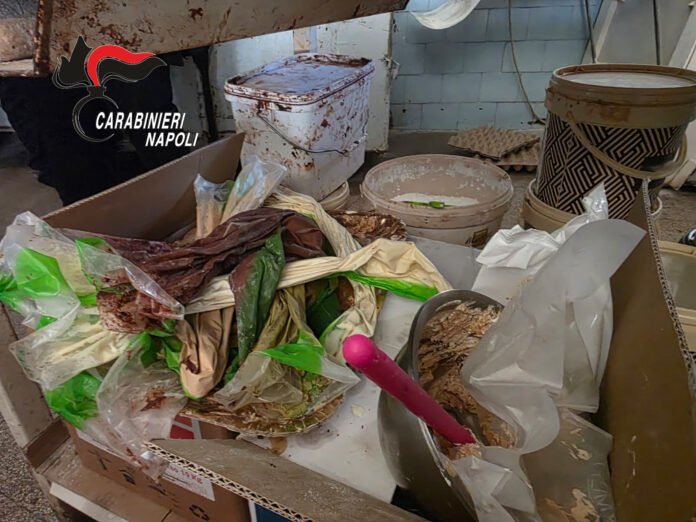 Caivano, controlli in un bar pasticceria: arrestato il titolare per furto di energia elettrica e gravi violazioni igienico-sanitarie