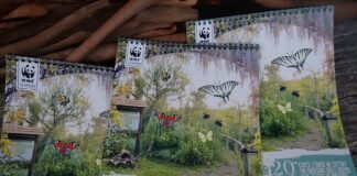 “L’Oasi disegnata”: la natura sul tetto del garage