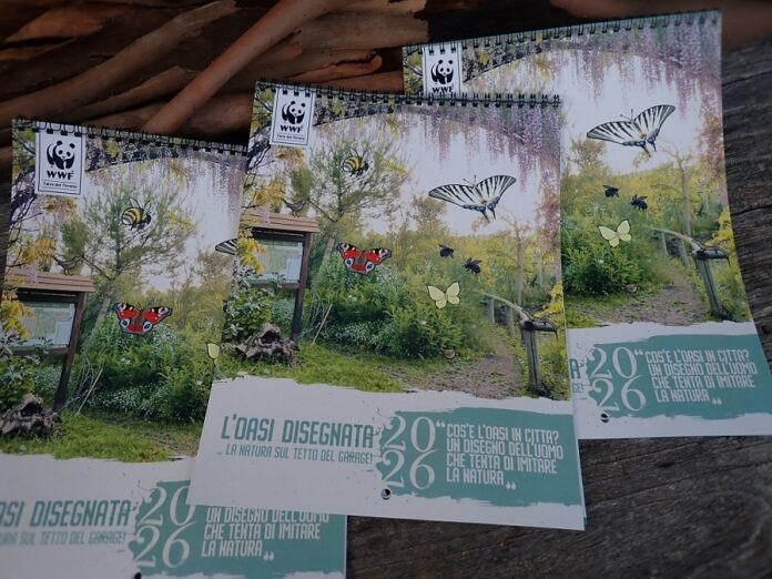 “L’Oasi disegnata”: la natura sul tetto del garage