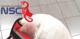 Cercola, tre carabinieri feriti durante un intervento: "L’ennesima riprova dei rischi che i nostri carabinieri affrontano"