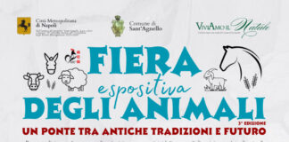 Sant’Agnello ospita la 3ª Fiera Espositiva degli Animali: tra tradizione e didattica per grandi e piccini