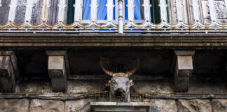 Boscoreale, Nemus Regalis inaugura SCHOLA NATURALIS: il dialogo tra uomo e natura prende forma con “Le Stazioni del Mito”