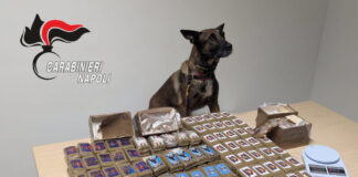 Controlli a Scampia: scoperto appartamento abusivo e sequestrati 14 chili di hashish