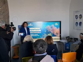 Anche i coralli del Mediterraneo rischiano l’estinzione: Marevivo avvia “MedCoral Guardians” nell’AMP di Punta Campanella