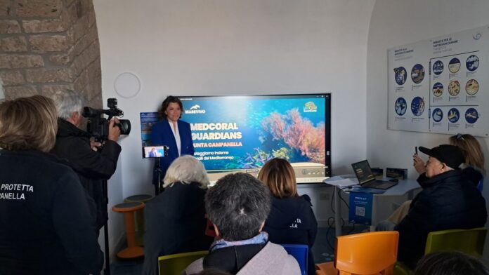 Anche i coralli del Mediterraneo rischiano l’estinzione: Marevivo avvia “MedCoral Guardians” nell’AMP di Punta Campanella