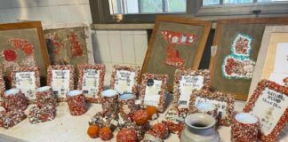 “Natale di Corallo”: inaugura la mostra dei ragazzi di “Sulle ali dell’Airone”