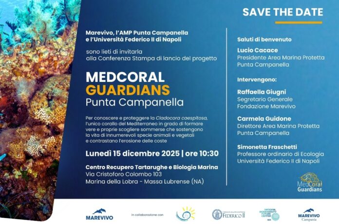 Medcoral Guardians, il nuovo progetto per salvare la madrepora del Mediterraneo: presentazione il 15 dicembre a Massa Lubrense