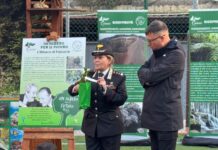 Prosegue il progetto nazionale “Un Albero per il Futuro”: donata una Talea di Falcone alla Fondazione “A voce d’e Creature”