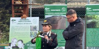 Prosegue il progetto nazionale “Un Albero per il Futuro”: donata una Talea di Falcone alla Fondazione “A voce d’e Creature”