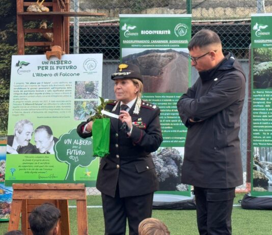 Prosegue il progetto nazionale “Un Albero per il Futuro”: donata una Talea di Falcone alla Fondazione “A voce d’e Creature”