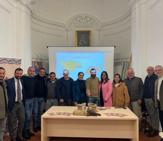 Verso il marchio Igp per la castagna del Monte Faito: approvato il disciplinare di produzione