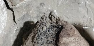 Nuove scoperte a Pompei: fave, frutta e reperti svelano la vita nel quartiere servile della villa di Civita Giuliana