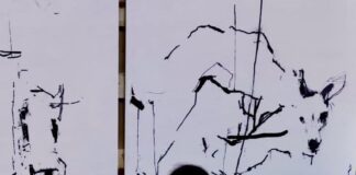 Il pimontese Vincenzo Nastro trionfa al “San Severino Young Art”