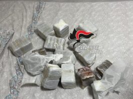 Ercolano, operazione antidroga: arrestata 46enne incensurata con 13 chili di hashish. Sequestrate anche tartarughe di specie protetta