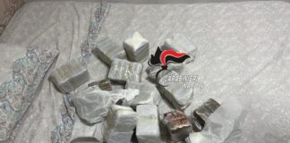 Ercolano, operazione antidroga: arrestata 46enne incensurata con 13 chili di hashish. Sequestrate anche tartarughe di specie protetta