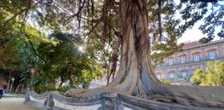 Napoli, rinasce il Giardino Romantico di Palazzo Reale