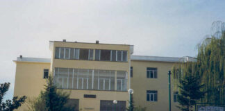 Cena spettacolo di Natale per gli over 60: il Comune di Boscotrecase lancia l’iniziativa sociale