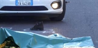 Ercolano, omicidio stradale: 44enne arrestato dopo l’investimento mortale di una donna di 77 anni