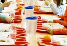 Mensa scolastica a Pollena Trocchia, il Comune replica alle critiche: “Interventi immediati e contestazioni formali alla ditta”