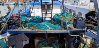 Acerra, scoperta pescheria abusiva in un’abitazione privata: sequestrati oltre 110 kg di anguille protette